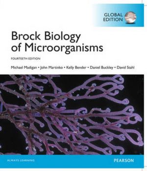 brock biology of microorganisms global 14th edition madigan test bank