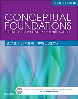 conceptual foundations the bridge to professional nursing practice 6th edition friberg test bank