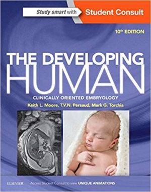 developing human clinically oriented embryology 10th edition moore test bank
