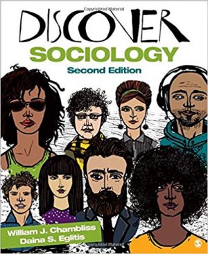 discover sociology 2nd edition chambliss test bank
