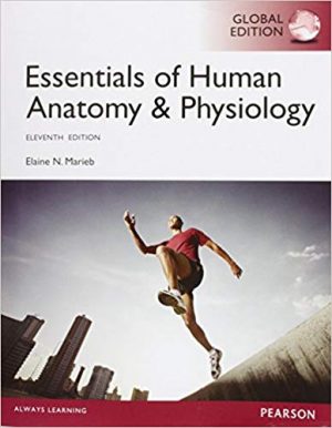 Human Anatomy Physiology 11th Edition Marieb Test Bank