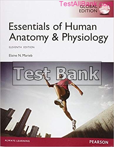 Essentials Of Human Anatomy And Physiology Global 11th Edition Marieb ...