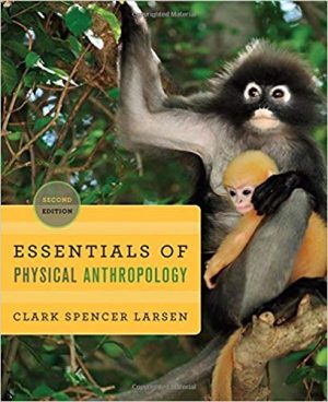 essentials of physical anthropology discovering our origins 2nd edition clark test bank