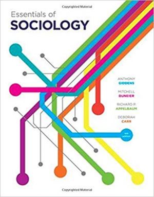 essentials of sociology 4th edition giddens test bank