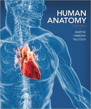 human anatomy 8th edition martini test bank