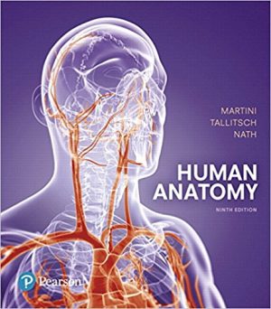 human anatomy 9th edition martini test bank