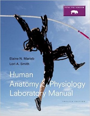 human anatomy and physiology laboratory manual cat version 12th edition marieb solutions manual