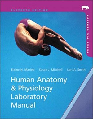 human anatomy and physiology laboratory manual fetal pig version 11th edition marieb test bank