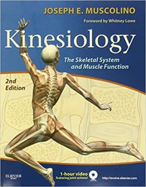 kinesiology the skeletal system and muscle function 2nd edition muscolino test bank