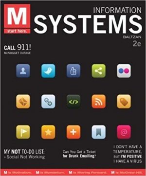 m information systems 2nd edition baltzan test bank