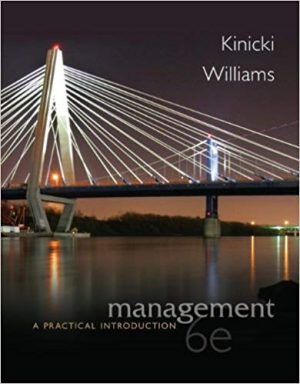 management a practical introduction 6th edition kinicki solutions manual