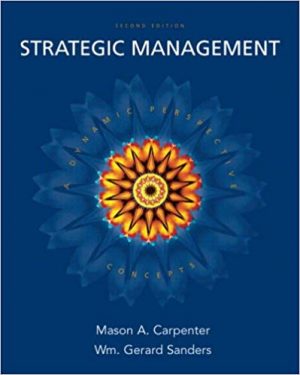 strategic management a dynamic perspective concepts 2nd edition carpenter test bank