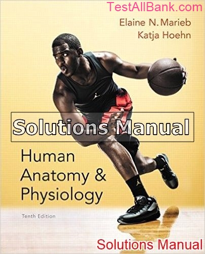 Human Anatomy And Physiology 10th Edition Marieb Solutions Manual