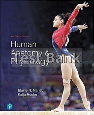 human anatomy physiology 11th edition marieb test bank