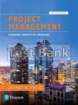 Project Management Achieving Competitive Advantage 3rd Edition Pinto ...