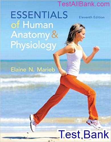 Essentials Of Human Anatomy And Physiology Revised 11th Edition Marieb ...