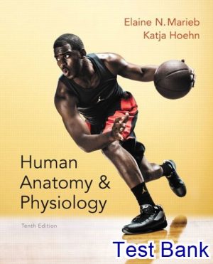 human anatomy and physiology 10th edition marieb test bank