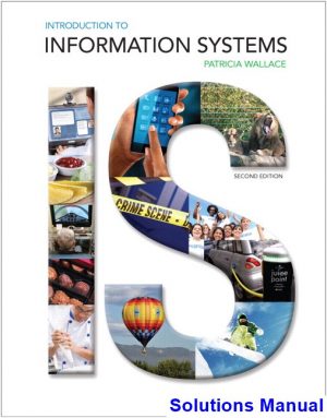 introduction information systems 2nd edition patricia wallace solutions manual