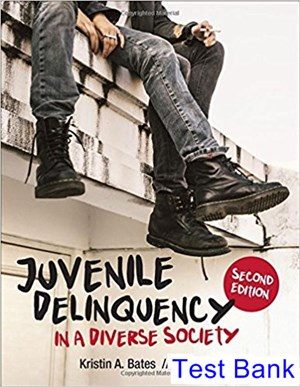 juvenile delinquency in a diverse society 2nd edition bates test bank