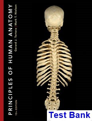 principles human anatomy 13th edition tortora test bank