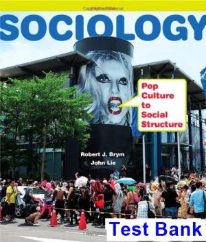 sociology pop culture social structure 3rd edition brym test bank